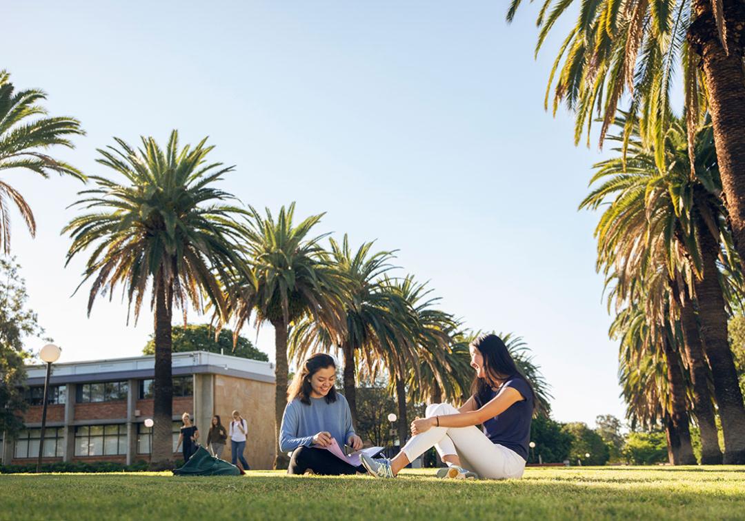 Two students, framed by large palm trees, sit on the grass at Gatton campus.