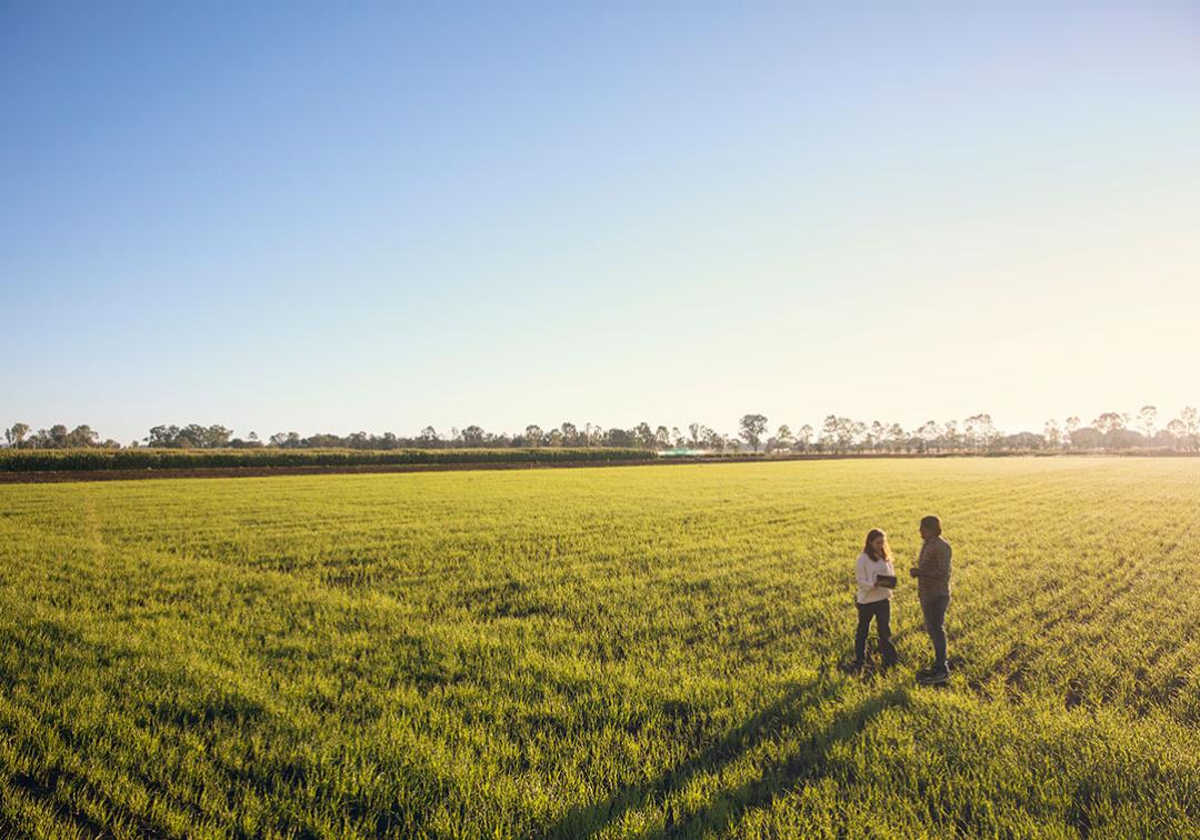 Two students stand in a green field at Gatton campus in the late afternoon.