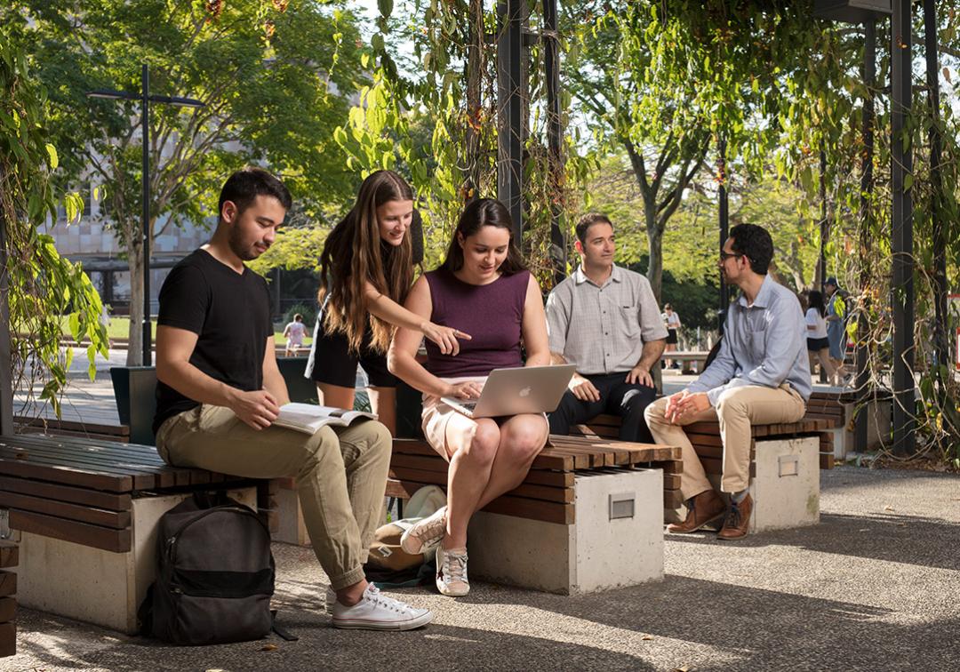 Students studying outside at St Lucia campus