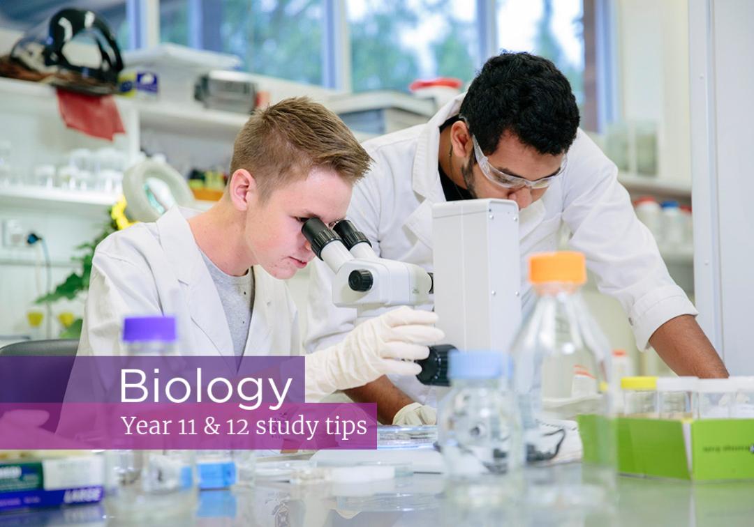 How To Study Biology Effectively – The University Of Qld