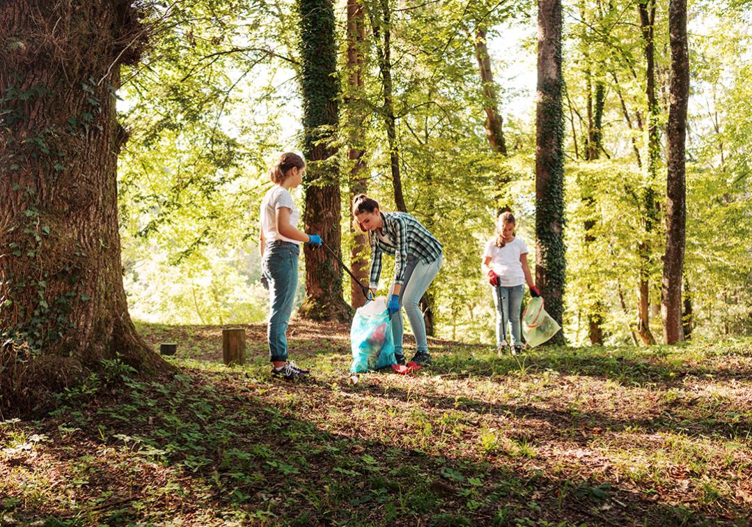 Teenagers pick up rubbish in a forest