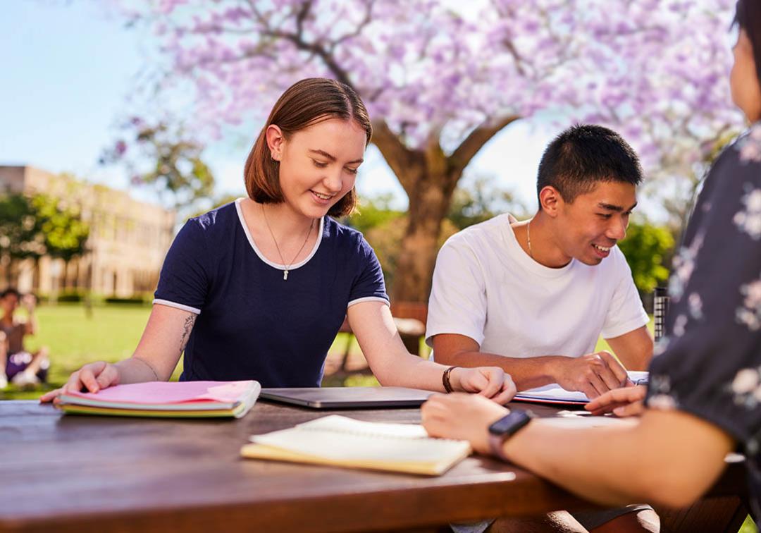 UQ students studying in the Great Court at St Lucia campus