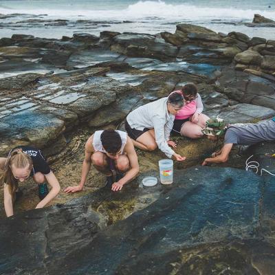 A group of students search in a rockpool