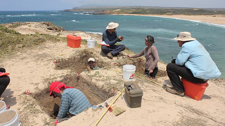 Archaeologists digging in for artefacts in excavated ditches on the beach, with the ocean in the background