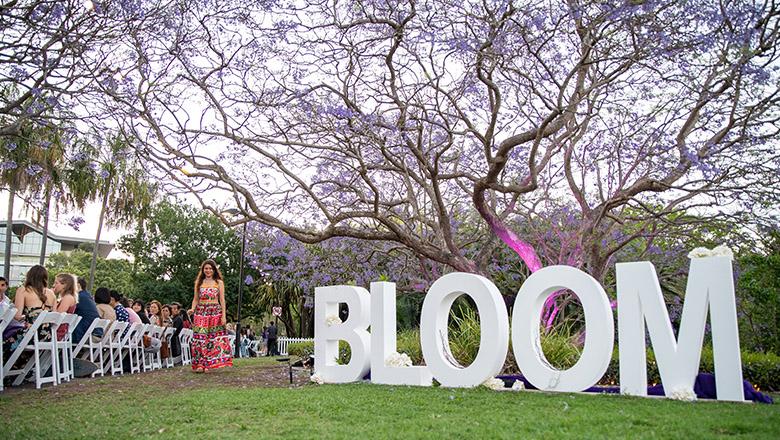 Giant white letters spelling out 'BLOOM' sit on the grass in front of a blooming jacaranda tree
