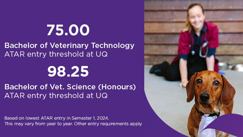 The Bachelor of Veterinary Technology ATAR entry threshold at UQ is 75, while the Bachelor of Vet Science (Honours) ATAR entry threshold is 98.25. This is based on the lowest ATAR entry in Semester 1, 2024. This may vary from year to year. Other entry requirements apply.