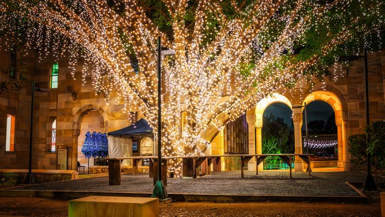 Fairy lights on a tree overlooking Merlo cafe at UQ