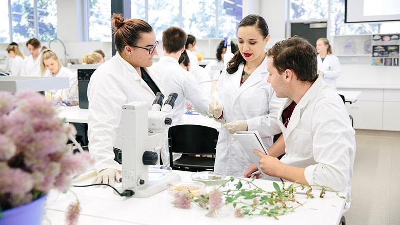 UQ students inspect plants in a laboratory with a microscope