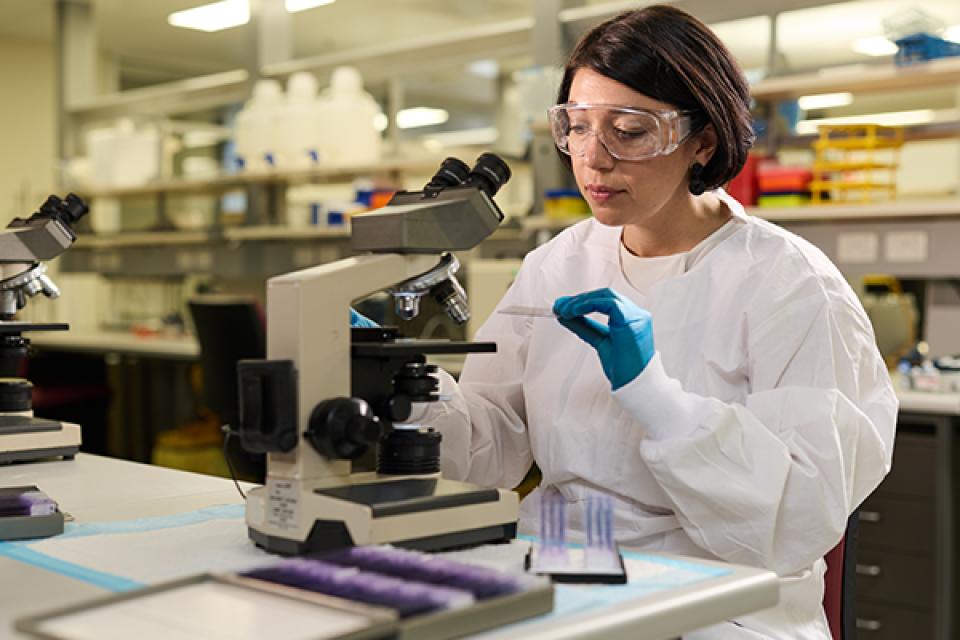 Beatris analysing lab results