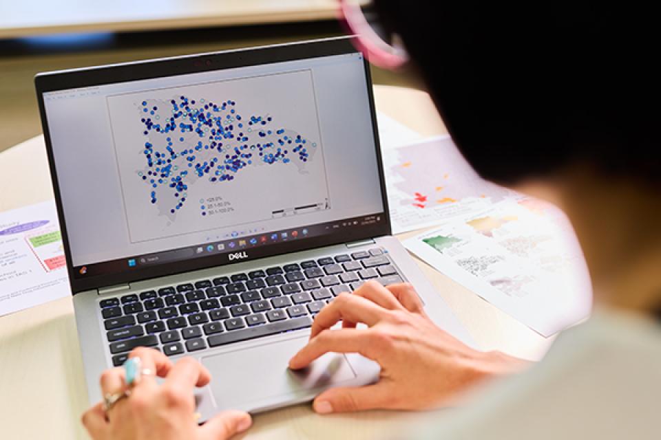 Beatris analysing a data map
