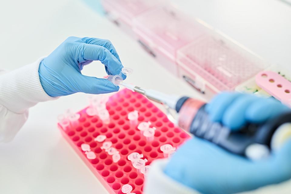Renee pipetting in the lab