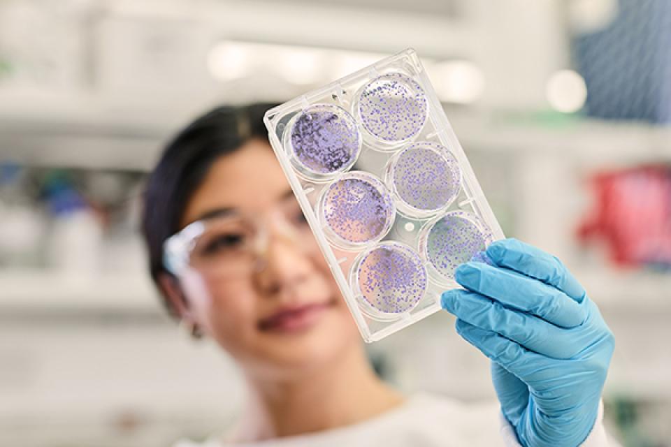 Renee inspecting samples