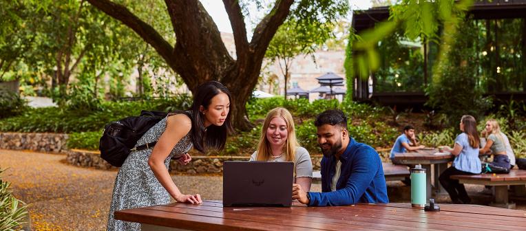 UQ students studying outdoors