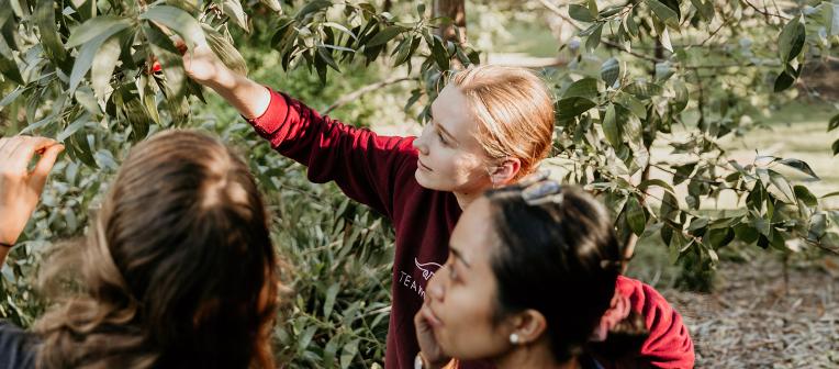 UQ environmental studies students inspect plants