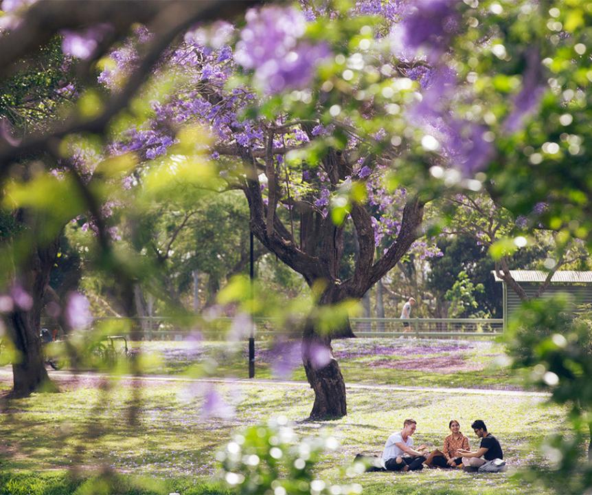 Student sitting under tree
