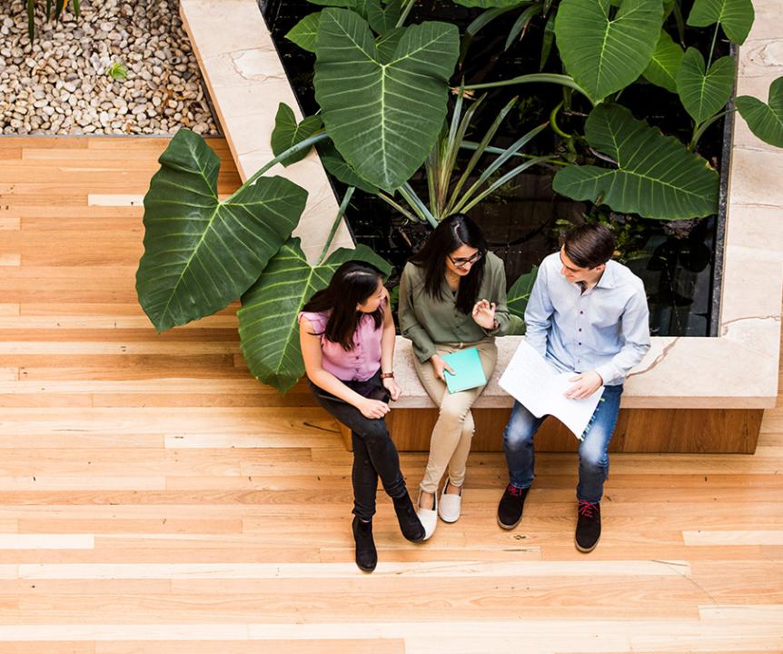Aerial photo of three students sitting on bench talking in front of plants. 