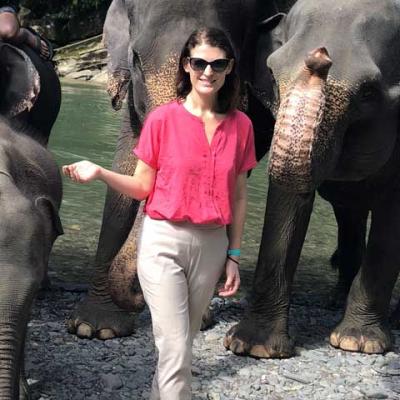 Ingrid Suter surrounded by elephants