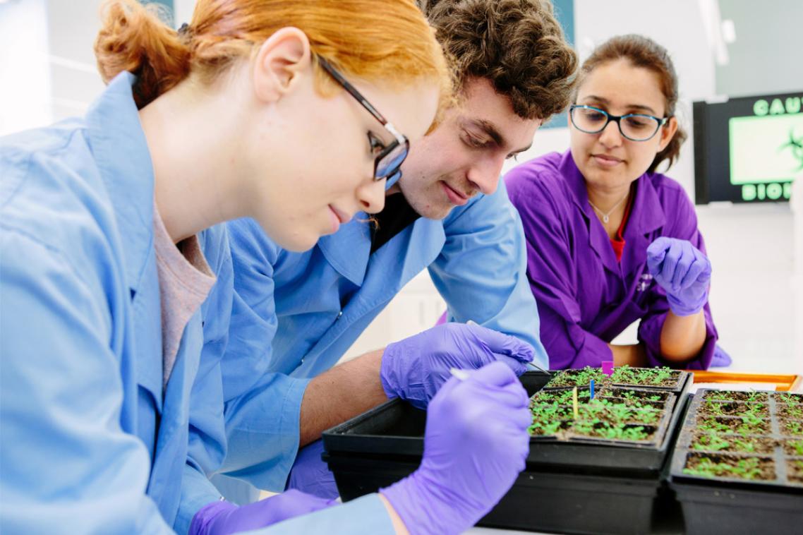 Students inspecting a tray of seedlings.