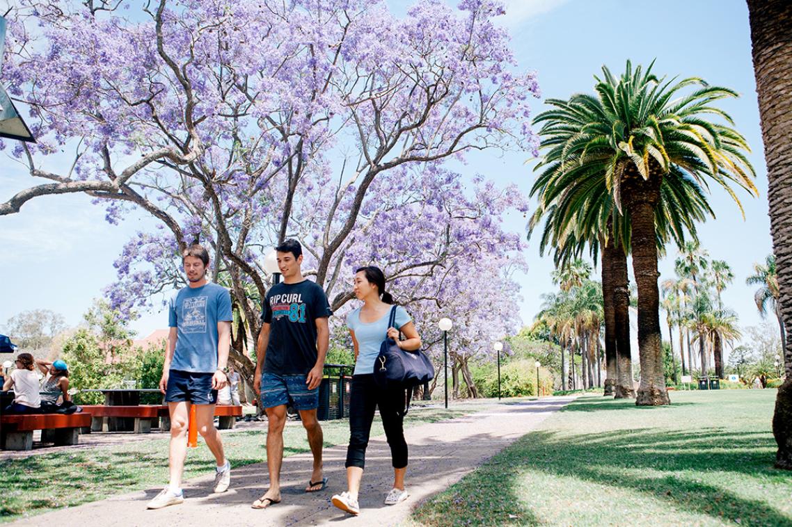 three students walk under Jacarandas at Gatton